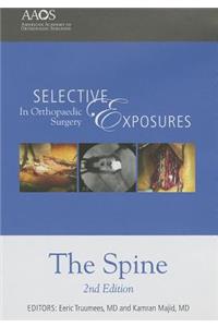 Selective Exposures in Orthopaedic Surgery: The Spine