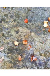 Acorn Pieces Rock Surface School Composition Book