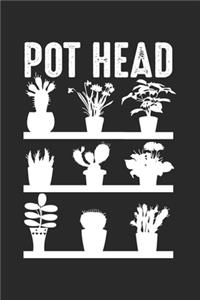 Pot Head