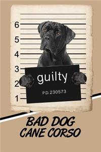 Bad Dog Cane Corso