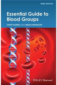 Essential Guide to Blood Groups