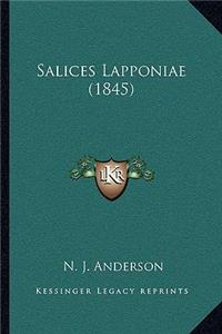 Salices Lapponiae (1845)