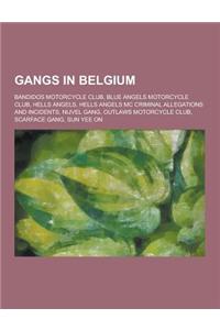 Gangs in Belgium: Bandidos Motorcycle Club, Blue Angels Motorcycle Club, Hells Angels, Hells Angels MC Criminal Allegations and Incident