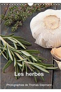 Les Herbes 2018