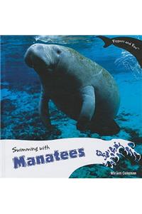 Swimming with Manatees