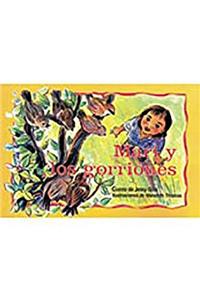 Mari Y Los Gorriones (Sally and the Sparrows)