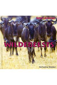 Wildebeests