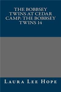 The Bobbsey Twins at Cedar Camp