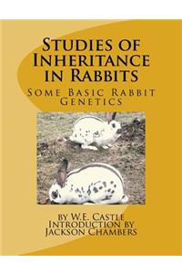 Studies of Inheritance in Rabbits