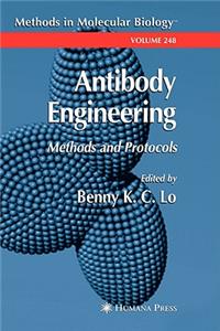 Antibody Engineering