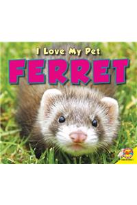 Ferret