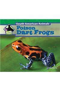 Poison Dart Frogs