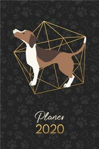Planer 2020