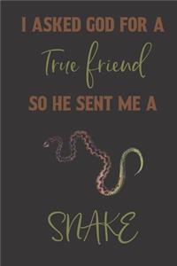 I asked god for a true friend so he sent me a snake