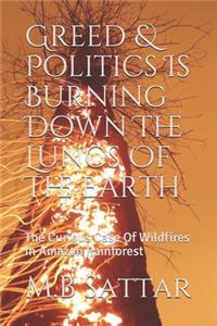 Greed & Politics Is Burning Down The Lungs Of The Earth