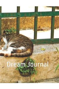 Cat Cover: Dream Journal