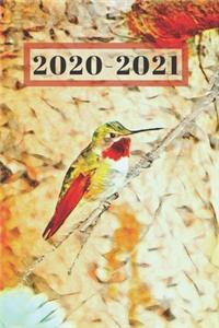 Cute Green & Red Hummingbird Dated Calendar Planner 2 years To-Do Lists, Tasks, Notes Appointments for Him or Her