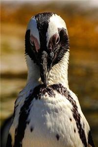 Portrait of an African Penguin Journal