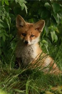 Blank Journal - Baby Fox in the Forest