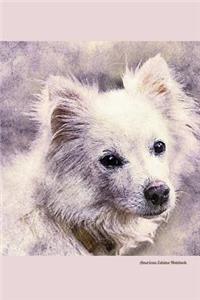 American Eskimo Notebook
