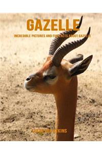 Gazelle: Incredible Pictures and Fun Facts about Gazelle