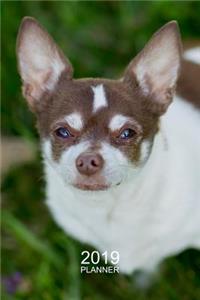 Chihuahua Planner 2019