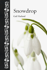 Snowdrop