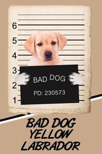 Bad Dog Yellow Labrador