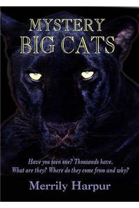 Mystery Big Cats