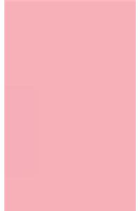 Sketchbook Pink: Sketchbook 5 X 8, Sketchbook 200 Pages: Sketchbook No Lines, Sketchbook 200 Pages, Sketchbook Journal, Sketchbook for Drawing, Sketchbook Notebook