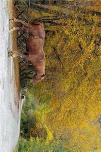 A Horse on the Road in Fall Journal