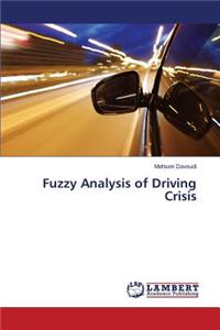 Fuzzy Analysis of Driving Crisis
