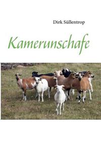 Kamerunschafe