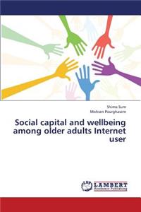 Social capital and wellbeing among older adults Internet user