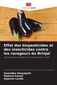 Effet des biopesticides et des insecticides contre les ravageurs du Brinjal