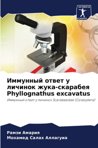 Иммунный ответ у личинок жука-скарабея Phyllognathus excav