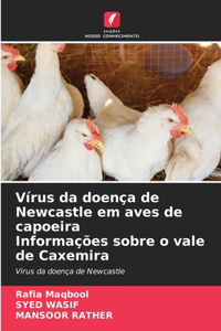 Vírus da doença de Newcastle em aves de capoeira Informações sobre o vale de Caxemira