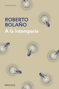 A la intemperie: Colaboraciones periodisticas, intervenciones publicas y ensayos