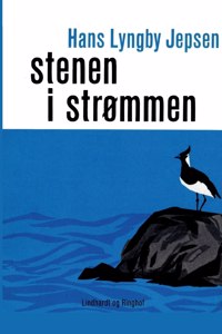 Stenen i strømmen