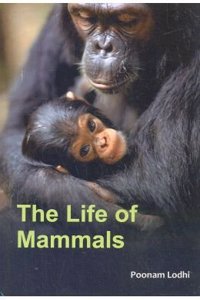 The Life Of Mammals