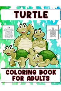 Turtle Coloring Book For Adults