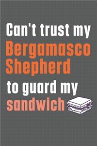 Can't trust my Bergamasco Shepherd to guard my sandwich