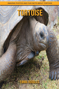 Tortoise