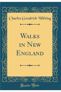 Walks in New England (Classic Reprint)