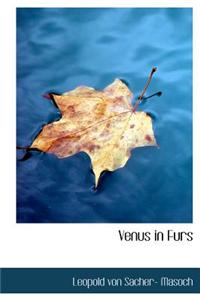 Venus in Furs