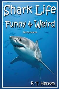 Shark Life Funny & Weird Sea Creatures