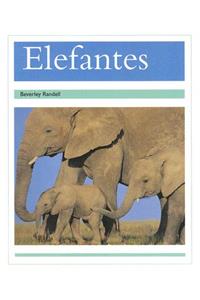 Elefantes (Elephants)