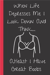 When Life Depresses Me I Look Down and Think At least I have Great Boobs