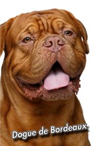 Dogue de Bordeaux