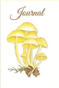 Journal